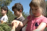 kindergarten-community-garden