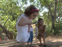 רגעי קסם ביער