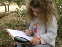 קריאה והפקה של איור מדעי