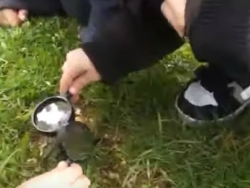 מה השתנה בגבעה מאז הסיור הקודם?