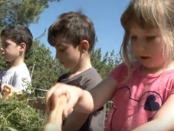 גן ילדים בגינה הקהילתית