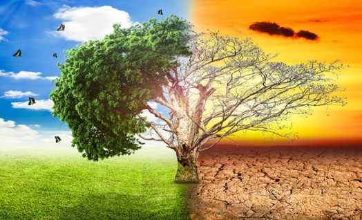 Climate and Seasons