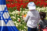 תכנית החלוקה - כ"ט בנובמבר