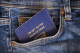אתגר הרווחה במדינה הדמוקרטית – שירה גודמן, מיכל ברק