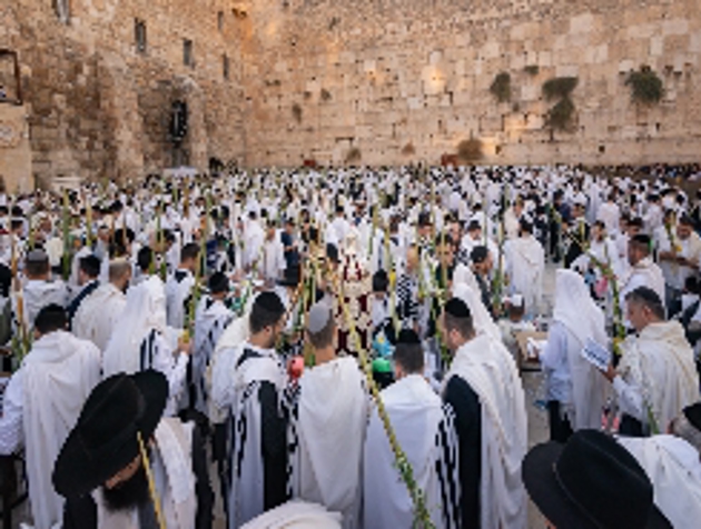 תנ"ך חמ"ד