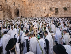 ברכת כוהנים בכותל המערבי