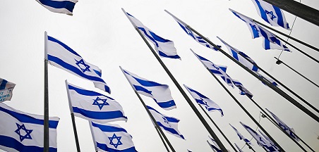 מדינה בִּמְחָאָה