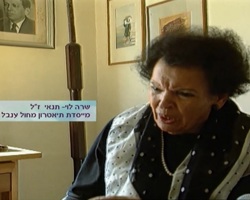 על שרה לוי תנאי