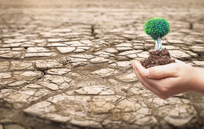 Climate change education