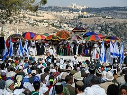 הסיגד - הלו"ז העברי מבית סנונית