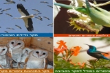 תוכנית חקר ציפורים וסביבה