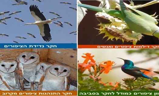 תוכנית חקר ציפורים וסביבה
