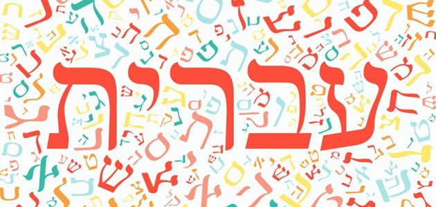 ספרות, יסודי