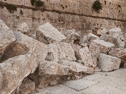 שיעורטון: מירושלים ליבנה 