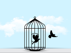 קוד 100: הזכות לחירות