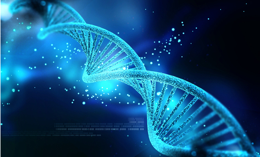 יום ה-DNA הבין-לאומי 25.4