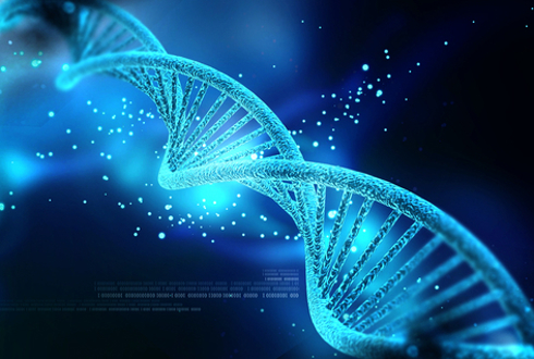 יום ה-DNA הבין-לאומי, 22.4