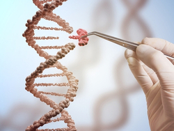 מבנה ה-DNA - תלת מימד