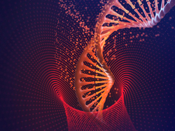 שכפול DNA
