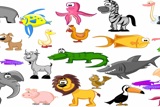 Animals