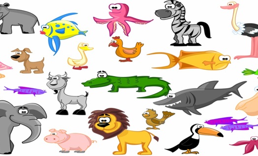 Animals