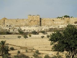 צומות החורבן