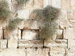 ארבעת הצומות