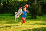 Animal exercise for kids