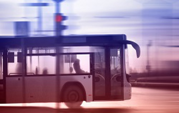 השב"כ וקו 300
