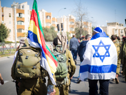 ברית אחים