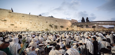 פרשת נשא