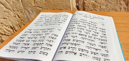 תהילים