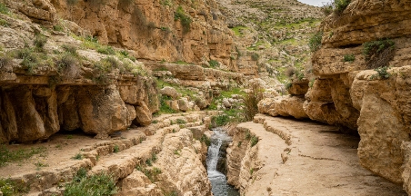 ישעיהו 