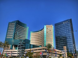 סטארט אפ מדינה