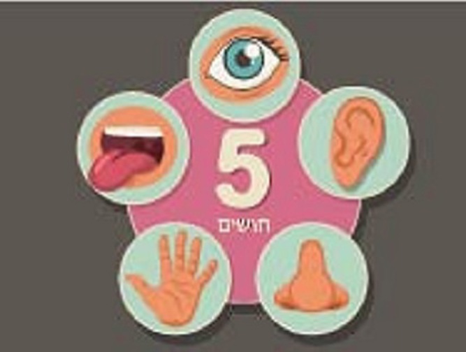 תקשורת - קליטת מידע מהסביבה על ידי החושים וחשיבותו לתפקוד בני אדם