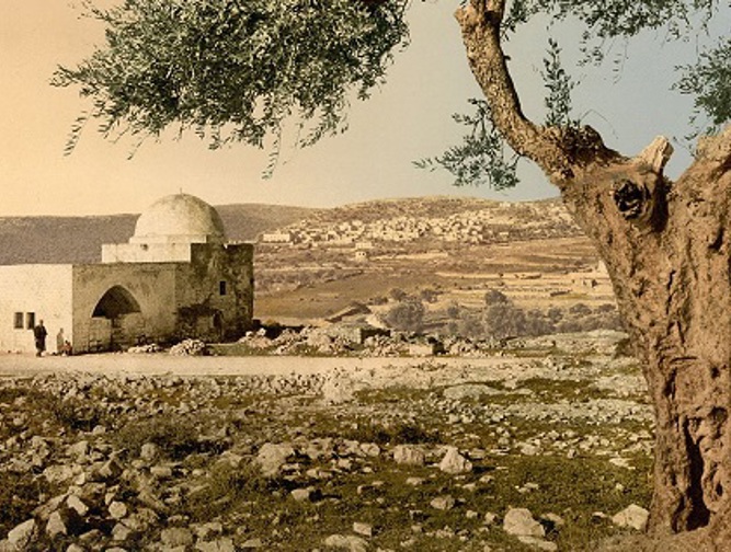 חומש בראשית - יחידה 8: "וַיָּבֹא יַעֲקֹב שָׁלֵם"