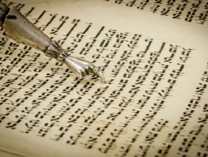 חומש ויקרא  - יחידה 3: סוגיות בפרקי טומאה וטוהרה (פרקים יא, יג, יד)