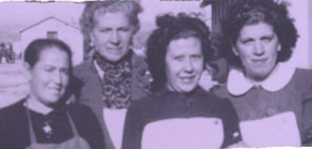 צוות התוכנית