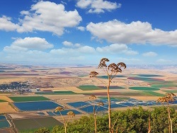 טבע ישראלי