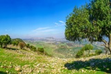 אריה סיון – אני בסך הכול