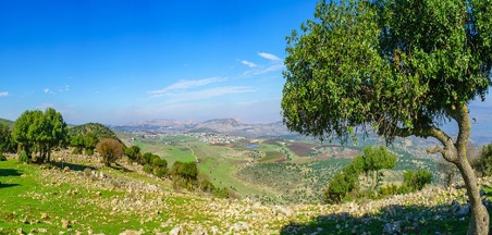 הסיור הלימודי