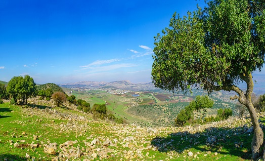 אריה סיון – אני בסך הכול