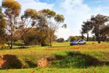 action against desertification (אנגלית)
