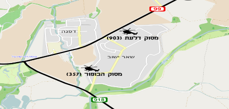 25 שָׁנָה לְאָסוֹן הַמַסוֹקִים