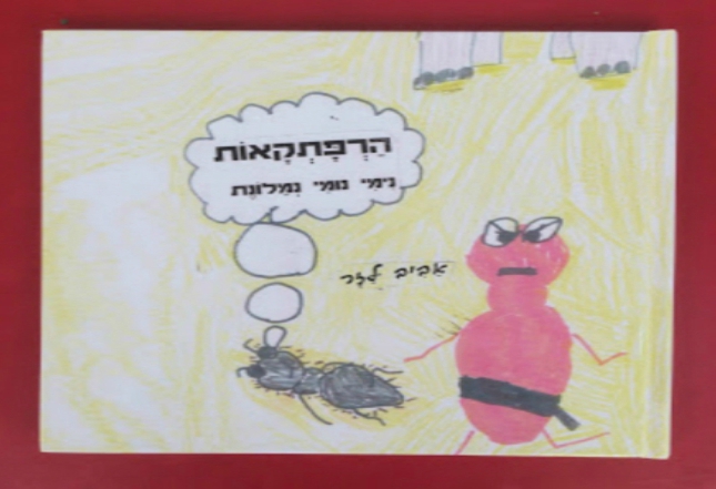 הרפתקאות נימי נומי נמלונת