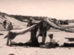 חדשות התנ"ך: כיבוש הארץ והחלוקה לנחלות