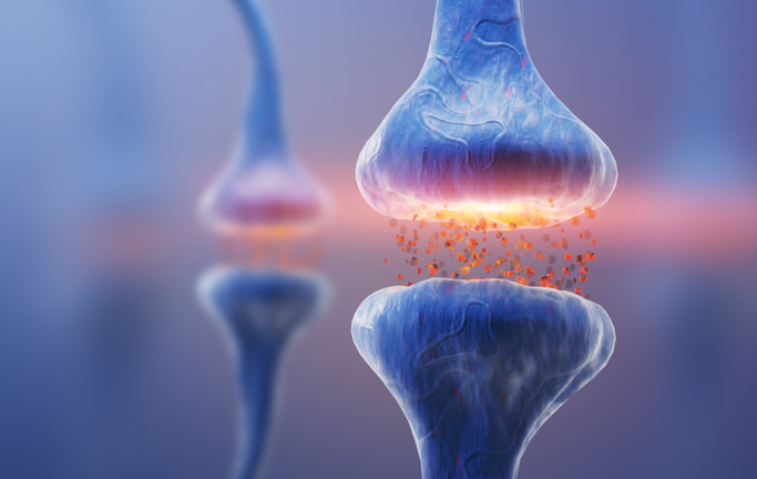 Chemical Synapse