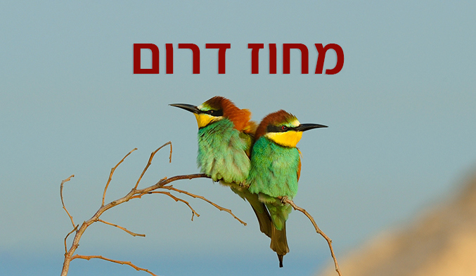 מחוז דרום
