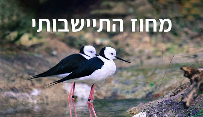 מחוז התיישבותי