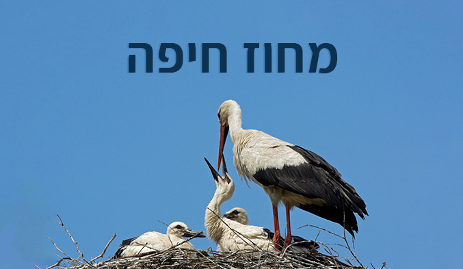 מחוז חיפה